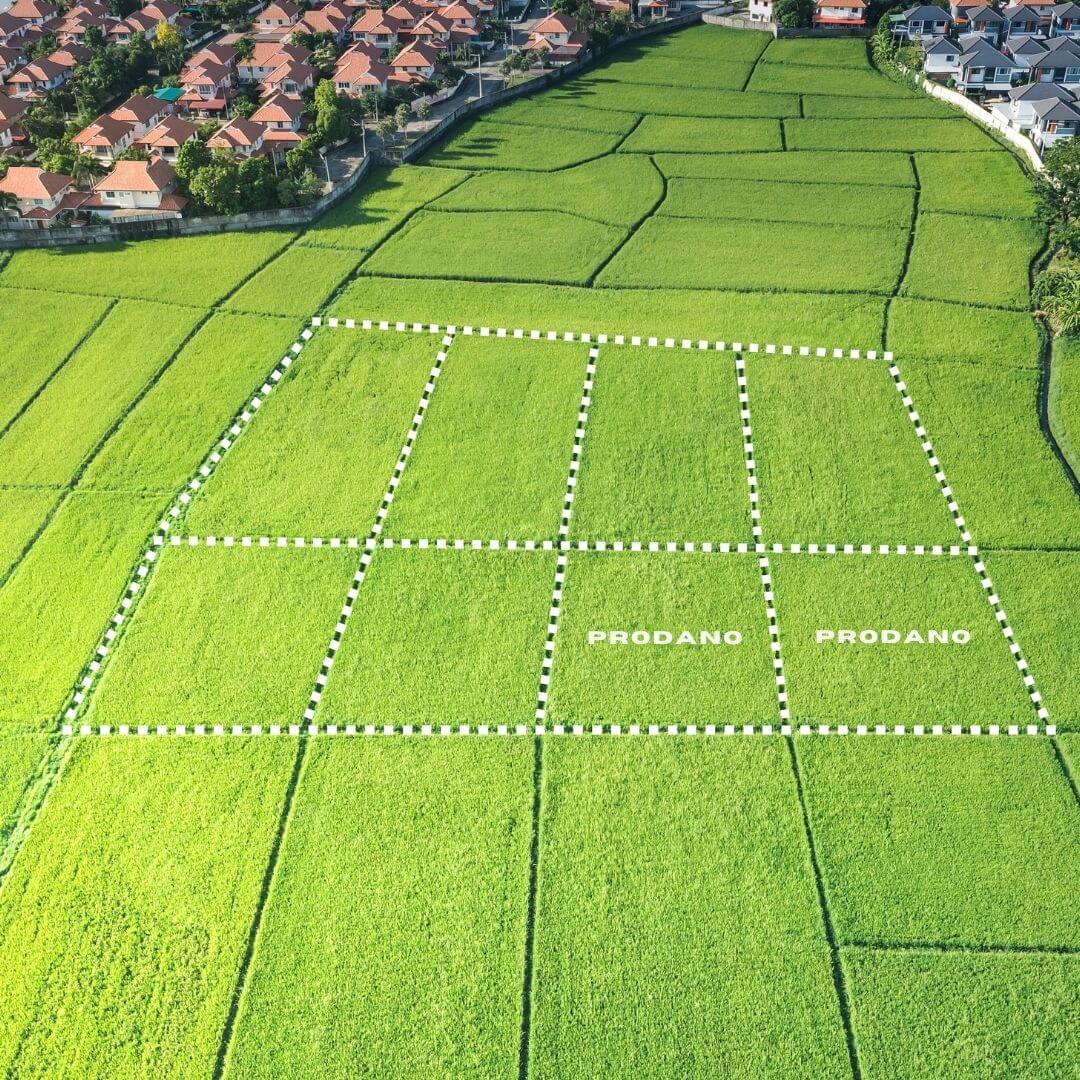 Postopek prodaje kmetijskega ali gozdnega zemljišča Postopek prodaje kmetijskega ali gozdnega zemljišča